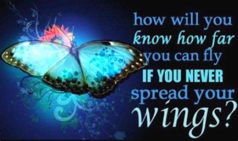 Quotes About Butterfly Wings Quotesgram