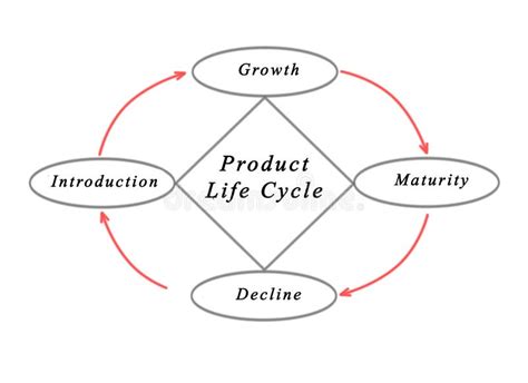 Diagram Of Product Life Cycle Stock Vector Illustration Of