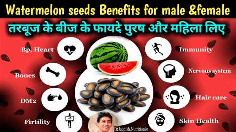 Watermelon Seeds Benefits Watermelon Seeds Benefits For Male And