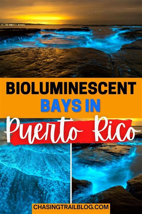 Best Bioluminescent Bays In Puerto Rico