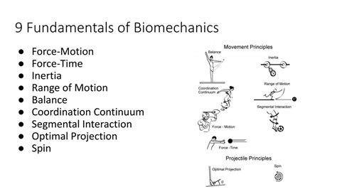 Ppt Sports Biomechanics Powerpoint Presentation Free Download Id