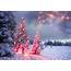 Christmas Photography Backdrops Fire Sparks Tree On The Snow 