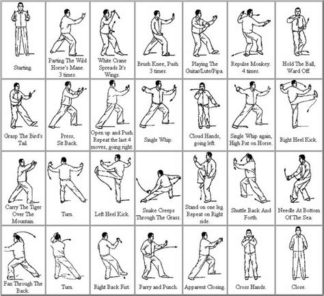 Tai Chi PosesFit Taichi Form Martialart Exercise 24 Form Martial