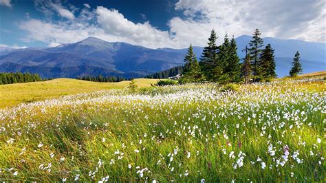 Wallpaper Nature Mountains Hill Meadow Scenery Grass 1920x1080