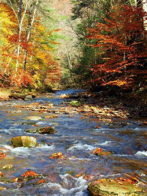 Creek In Fall Free Stock Photo Public Domain Pictures