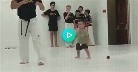 Hold My Juice Box While I Do Martial Arts Close Enough  On Imgur