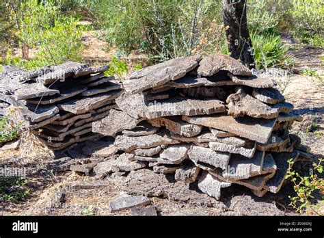 Cork Bark Pile High Resolution Stock Photography And Images Alamy