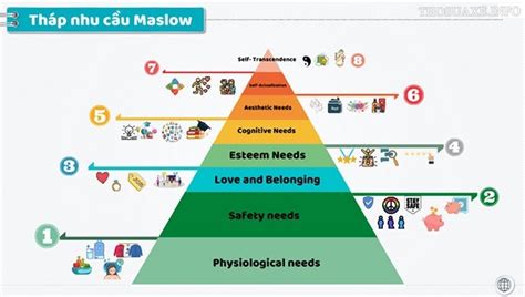 Tháp Nhu Cầu Maslow Là Gì Phân Tích Các Cấp độ Và ứng Dụng
