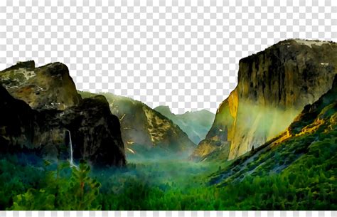 Rainforest Clipart Scenery Rainforest Scenery Transparent Free For