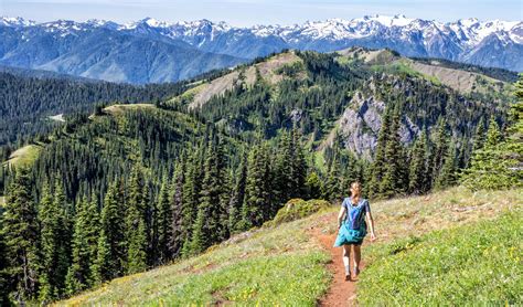 17 Great Hikes In Olympic National Park Map And Photos Earth Trekkers