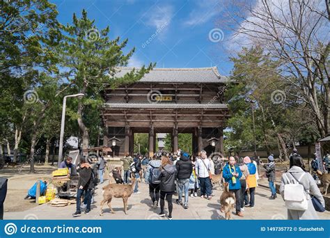 people-traveler,-group-tour,-local-people,-japanese-people-visited-and-traveled-around-todaiji