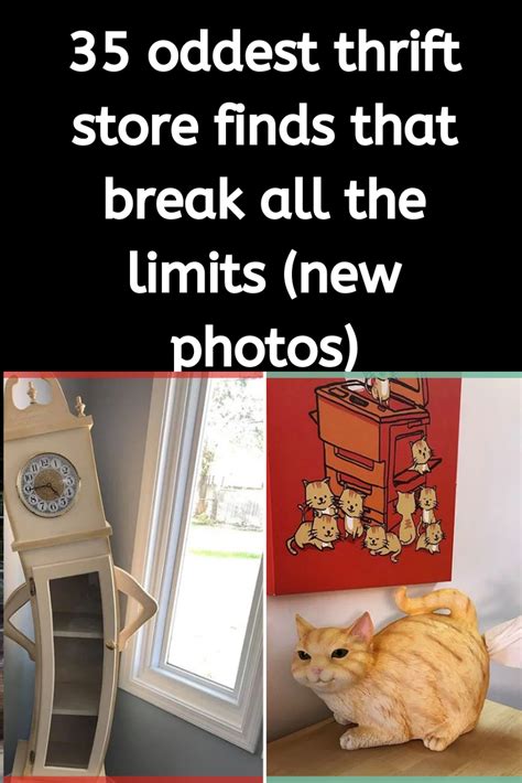 35 Oddest Thrift Store Finds That Break All The Limits New Photos Thrifting Funny Pins Fun