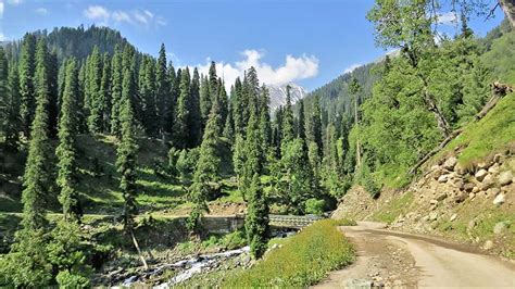 Kashmir Travel Diary Lolab And Bangus Valleys In Kashmir A Travel