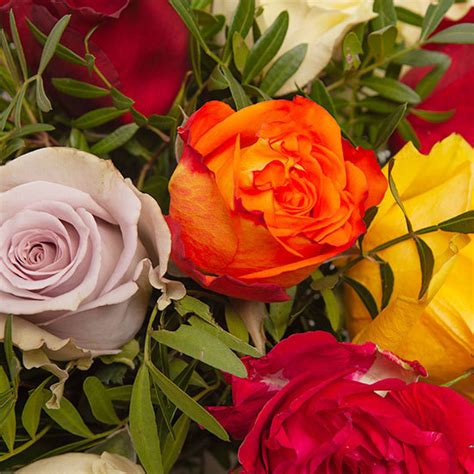The real handmade organic roses from ecuador. Strauß mit Rosen aus Ecuador - Rosen Lieferung | Aquarelle