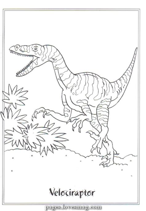 Coloring drawings velociraptor #picture #velociraptor ... Colorful and black and white page for coloring book for kids.