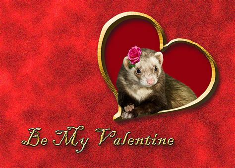 Be My Valentine Ferret Photograph By Jeanette K Fine Art America
