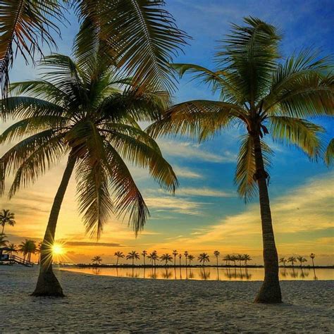 Inicia Sesión O Regístrate Tropical Beaches Visit Florida Island