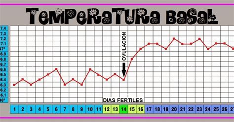 La temperatura basal es la temperatura más baja que alcanza el cuerpo en reposo, normalmente por ello, llevar un registro de la temperatura basal durante todo el ciclo te puede ayudar a calcular. Temperatura basal ~ Los sinsabores de la dulce espera