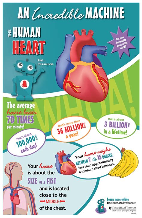 Ideas For Heart Month Lesson Plans Printables And More