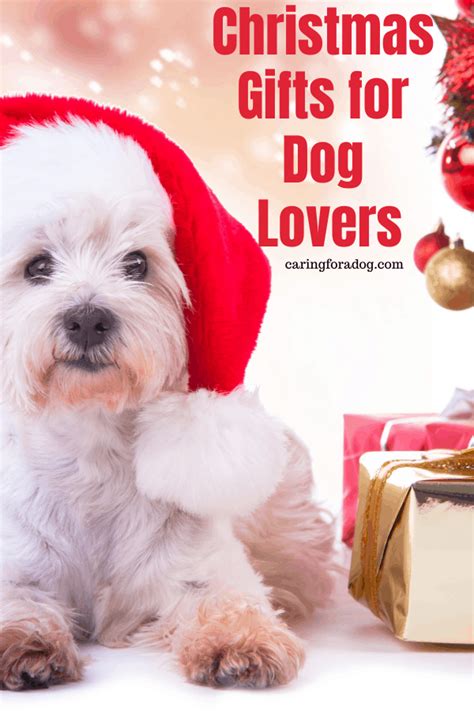 Christmas Ts For Dog Lovers Updated For 2021 Caring For A Dog