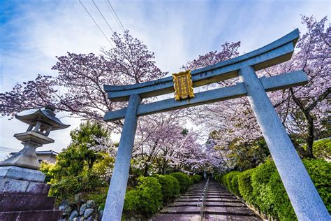 Travel Note Of Kyoto For Cherry Blossoms Part 4 Takenaka Inari Shrine