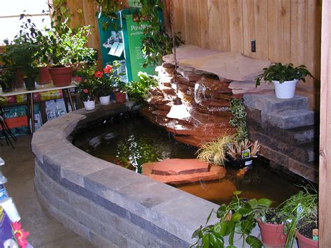 Indoor Turtle Pond Garden Pond Design Indoor Pond Indoor Waterfall