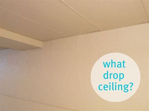 Looks aren't the only reason to opt for a drywall ceiling in the basement. Basement Update: How to Paint Drop Ceilings You Cannot ...