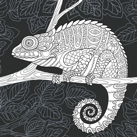 Zentangle Stylized Chameleon Lizard Hand Drawn Vector Illustrat