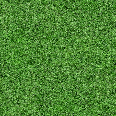 Royalty Free Grass Texture Pictures Images And Stock Photos Istock