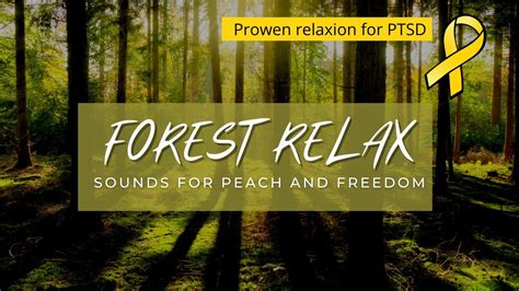 Sound Of Forest Get Relaxed Or God To Deep Sleep With This Real Sound From Forest Black