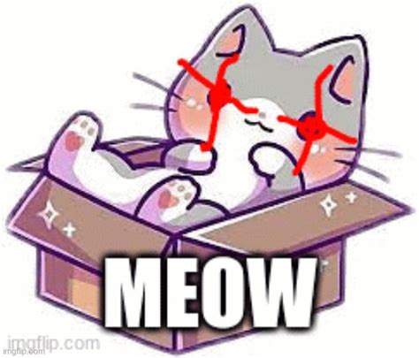 Meow Meme Imgflip