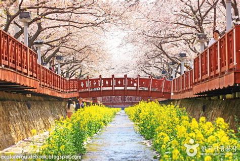 Dengan latar belakang semacam ini, tak heran jika selama beberapa tahun belakangan wisata taman dengan aneka bunga menjadi sajian rekreasi. Menikmati Indahnya Bunga Sakura di Jinhae, Korea Selatan ...