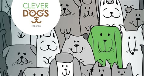 Website Design And Seo Content L Clever Dogs Media L Franklin Indiana