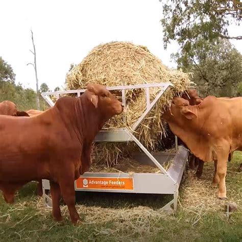 Hay Waste Advantage Feeders