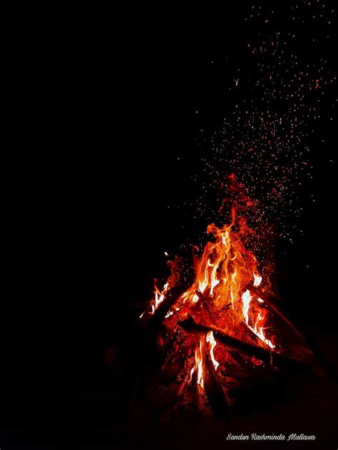 1920x1080px 1080p Free Download Fire Bonfire Camp Camping Flame