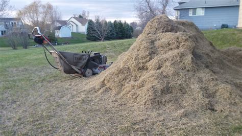 How do you know if your lawn needs dethatching? Is it really grass cutting season.....lets see your stripes — Big Green Egg - EGGhead Forum ...