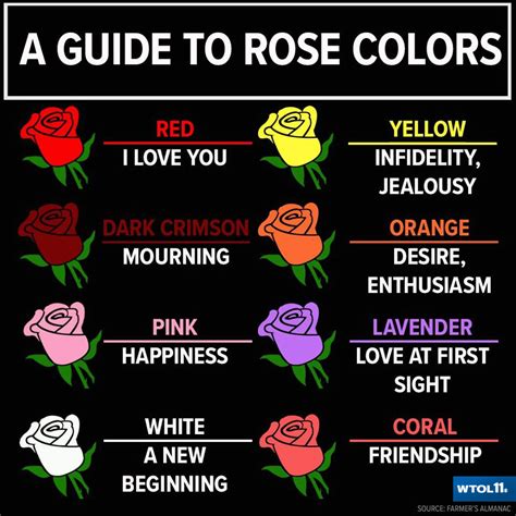 A Guide To Rose Color Meanings Vlrengbr