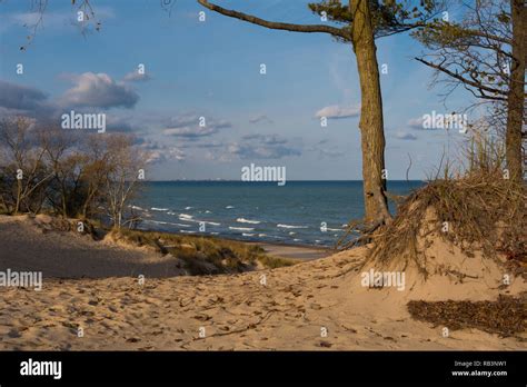View Of Lake Michigan From The Sand Dunes On A Autumn Morning Indiana