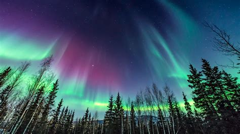 Northern lights: See aurora borealis across northern US states