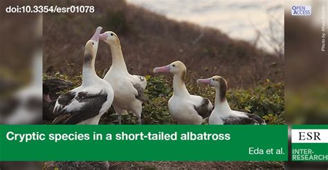 Agreement On The Conservation Of Albatrosses And Petrels Are Short