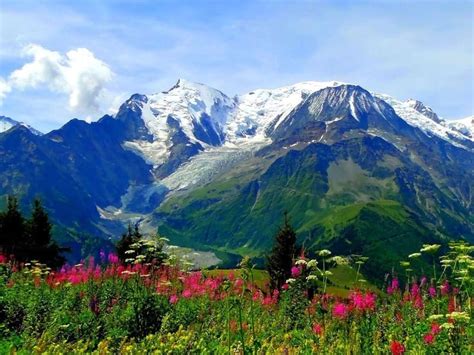 Valley Of Flowers One Of The Most Beautiful Treks In The Himalayas