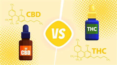 Cbd Vs Thc Whats The Difference Cfah