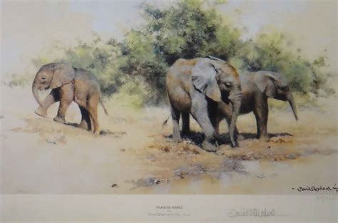 David Shepherd Limited Edition Prints Elephants Kilaguni Babies