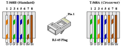 A pinout is a specific arrangement of wires that dictates how the connector is terminated. Ethernet CAT 5 UTP Cabling
