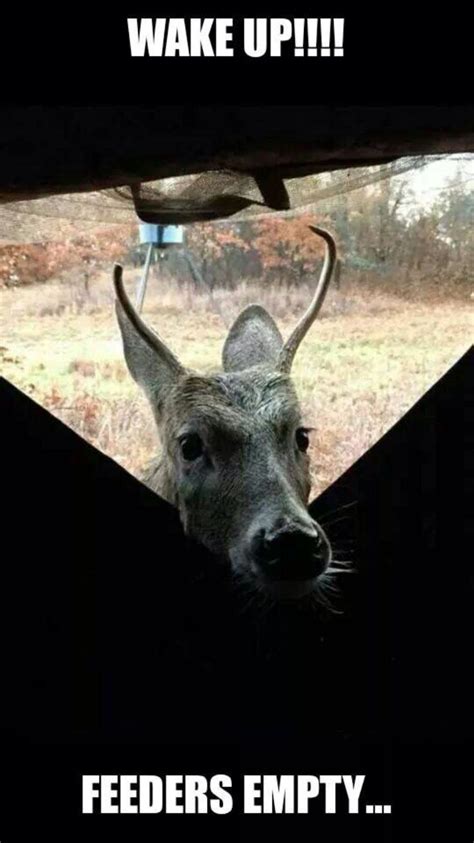 Pin By Trina King On Hunting Deer Hunting Humor Funny Hunting Pics