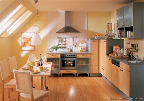 European Kitchen Cabinets Pictures And Design Ideas