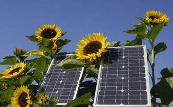 The first pv silicon cell capable of converting the sun's energy into power that could run electrical equipment was introduced in 1954, and by 1983, worldwide pv production exceeded 21 megawatts. How Does Solar Energy Impact The Environment
