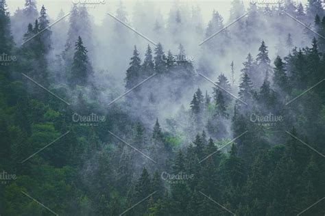 Misty Mountain Landscape Featuring Forest Fog And Travel High