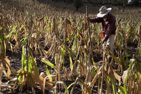 Cuales son los efectos del cambio climatico. Agua y cambio climático en Guatemala según los expertos ...