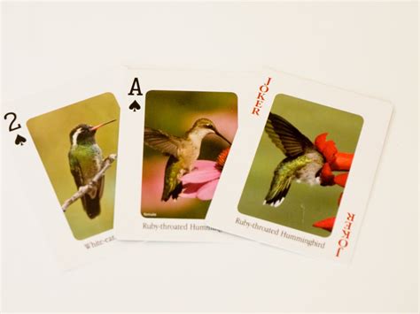 We Love Hummingbirds Playing Cards Deck